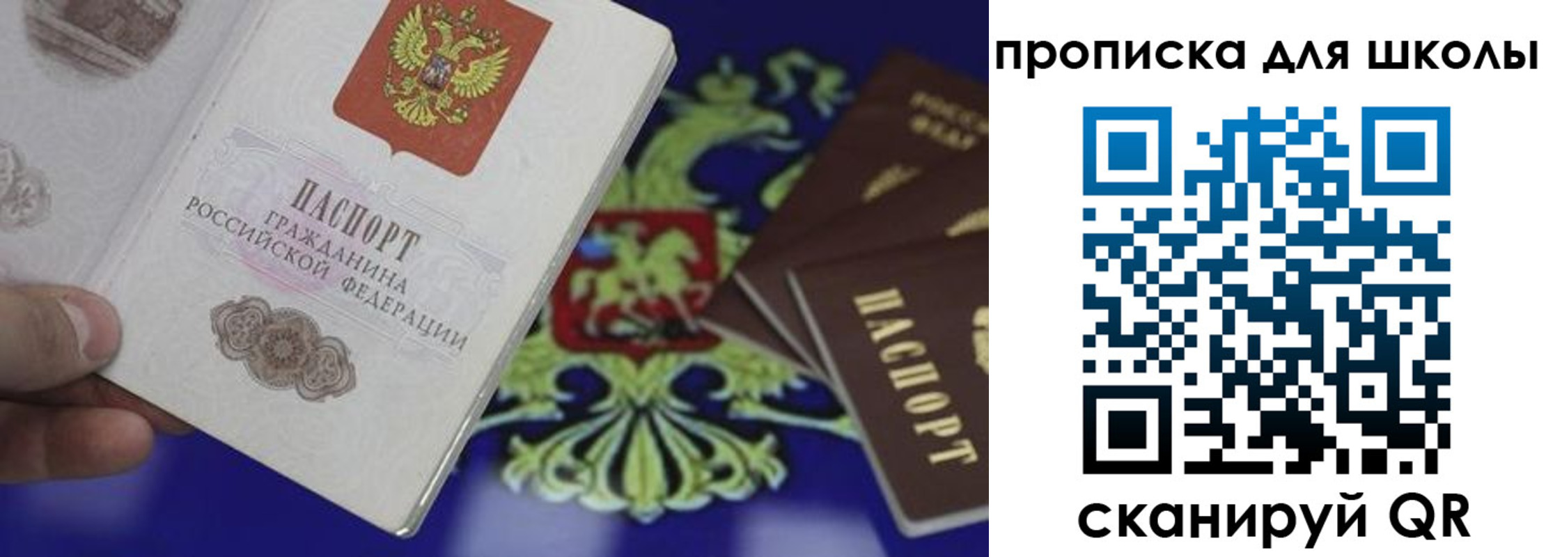прописка паспорт в Светлом