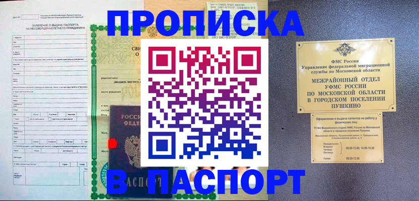 временная регистрация госуслуги в Светлом